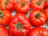 Marmande tomato - Gastronomy, holidays & weekends guide in the Lot-et-Garonne