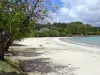 Martinique beaches - Raisiniers beach and the Atlantic Ocean; in the municipality of La Trinité