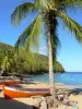 Martinique beaches - Dufour cove beach with golden sands, palm trees and fishing boats; in the town of Anse d'Arlet