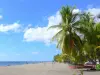 Martinique beaches - Beach Corner, with its gray sand, coconut palms and the Caribbean Sea; in the town of Carbet