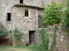 Le Mas Soubeyran - Hamlet of Mas Soubeyran, in the town of Mialet, in the Cévennes: stone house with creepers