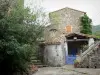 Le Mas Soubeyran - Hamlet of Mas Soubeyran, in the town of Mialet, in the Cévennes: stone house and staircase with flower pots