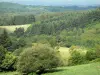 Massief van de Monédières - Regionaal Natuurpark van Millevaches in Limousin bos en weiland