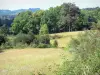 Massief van de Monédières - Regionaal Natuurpark van Millevaches in Limousin: weilanden bloeiende bomen omzoomde