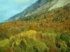 Massif des Bauges - Parc Naturel Régional du Massif des Bauges : arbres d'une forêt en automne et falaises calcaires