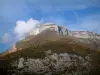 Massif des Bauges - Parc Naturel Régional du Massif des Bauges : montagne avec arbres et falaises calcaires, nuages dans le ciel bleu