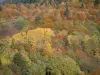 Massif des Bauges - Parc Naturel Régional du Massif des Bauges : arbres aux couleurs de l'automne