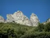 Massif de la Sainte-Baume - Arbres, végétation (garrigue) et parois rocheuses (falaises)