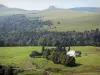 Massif du Sancy mountains - Monts Dore: farm, trees, woods and pastures; in the Auvergne Volcanic Regional Nature Park