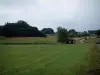 Meseta de los Mil Estanques - Vosges Saônoises: praderas, estanques, árboles de la cabina, y por carretera (Parque Natural Regional de Ballons des Vosges)