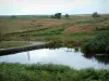 Meseta de los Mil Estanques - Vosgos Saônoises: vegetación, estanques, pantanos, carreteras, árboles y matorrales (Parc Naturel Régional des Ballons des Vosges)