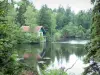 Meseta de los Mil Estanques - Vosgos Saônoises: casa cerca de un estanque rodeado de árboles (Parque Natural Regional de Ballons des Vosges)