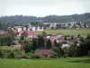 Métabief - Estación de esquí: casas rurales (casas), edificios, árboles y pastos (praderas) en verano