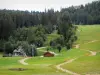 Métabief - Esquí: telesilla (góndola), chalet de madera, árboles, pistas de bicicleta de montaña y pastos (praderas) en verano