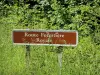 Meudon forest - Royal Forest Road sign