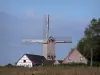 Mills of Flanders - Mill of Roome (wooden windmill on pivot), in Terdeghem