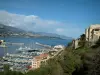 Monaco and Monte Carlo - Part of the Monaco rock with its port and yachts below, mountain in background