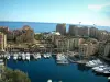 Monaco and Monte Carlo - Port with yachts and buildings, sea in background