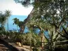 Monaco and Monte Carlo - Exotic plants, cactus, trees and sea in background