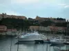 Monaco and Monte Carlo - View of the Monaco rock and of the port below with its yachts, buildings