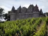 Monbazillac castle - Castle and vines (Bergerac vineyards)