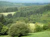 Monédières massif - Regional Natural Park of Millevaches in Limousin forest and pasture
