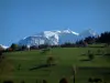 Mont-Blanc - Los pastos, los árboles con los colores del otoño y Mont-Blanc masiva