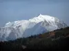 Mont-Blanc - Bosque de pinos y Mont-Blanc masiva