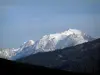 Mont-Blanc - Col des Aravis, con vistas a un bosque de pinos y la empinada Mont-Blanc