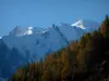 Mont-Blanc - Col des Montets, habida cuenta de los árboles con los colores del otoño y el Mont-Blanc empinada