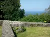 Montaigu hill - Ruins of the hermitage at the top of the hill, trees and Coëvrons landscape in the background