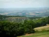 Montaña Negra - Los árboles, bosques y valles en el fondo (Parque Natural Regional del Alto Languedoc)