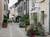 Montargis - Pedestrian street decorated with flowers and lined with houses and shops