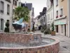 Montargis - Fonte, rua de pedestres, casas e lojas