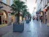 Montauban - Calle de la Resistencia, con sus tiendas, fachadas de casas, y las palmas en macetas