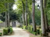 Montbard - Path lined with trees in Buffon Park