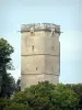 Montbard - Aubespin tower, remnant of the old medieval fortress, in Buffon park