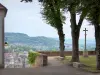 Montbard - View over the rooftops of the city and its green surroundings