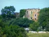 Monte das Monções - Vista do Château de Mousson cercado por vegetação