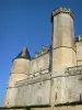 Montmirail - Montmirail castle