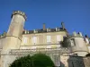 Montmirail - Montmirail castle