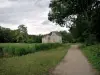 Montmorency forest - Small road leading to the Château de la Chasse