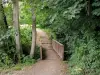 Montmorency forest - A walk in the woods