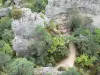 Montpellier-le-Vieux blockfield - Ruiniform dolomitic rocks surrounded by vegetation