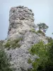 Montpellier-le-Vieux blockfield - Dolomitic rock of the ruiniform blockfield
