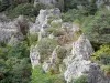 Montpellier-le-Vieux blockfield - Dolomitic rocks surrounded by greenery