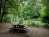 Morbras Departmental Park - Picnic table at the edge of the water, in a green setting