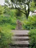 Morbras Departmental Park - Wooden staircase lined with flowers