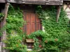 Moret-sur-Loing - Window of a wooden framed house surrounded by creepers