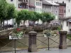 Morez - Barandilla decorado con flores, río Bienne, la línea de árboles, casas y edificios en la ciudad